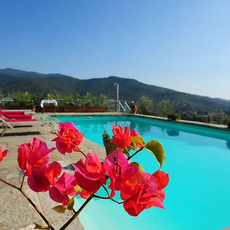 Senaia Villa *