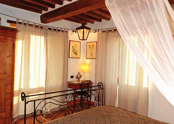 Senaia * Καστιλλιόν Φιορεντίνο