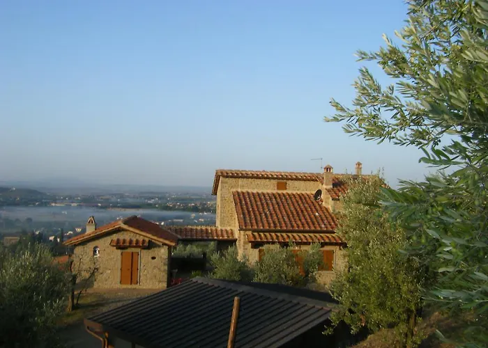 Senaia Καστιλλιόν Φιορεντίνο