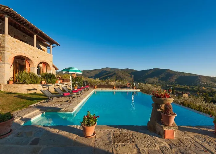 Senaia Καστιλλιόν Φιορεντίνο